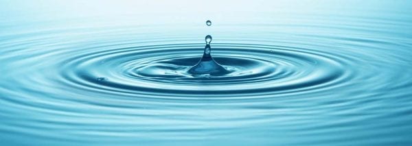 shutterstock_339197108 (3)